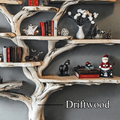 Tree Bookcase Xmas Montessori Bookshelf Christmas Gift SINLCM005