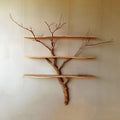 Tree Branch Shelf Unique Rustic Shelves SINLTBS005