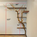 Tree branch corner shelf natural wood SINLTB020