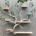 Tree Branch Floating Shelf Solid Wood Carving SINLTB045