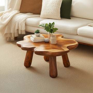 Rustic Farmhouse Coffee Table Design